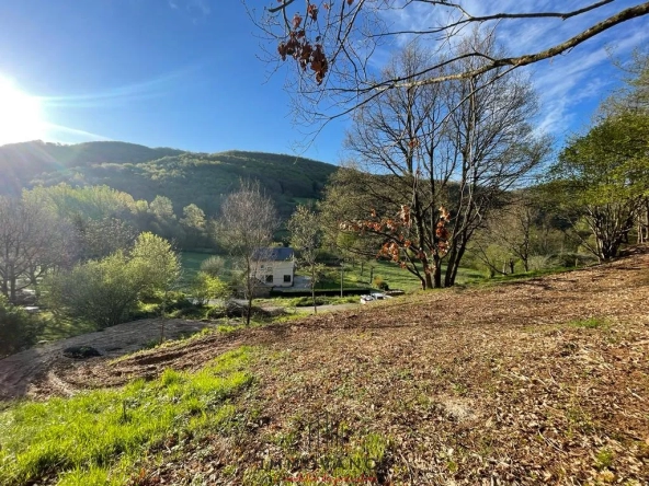 Terrains à bâtir à Saint Beauzely - 10804m2