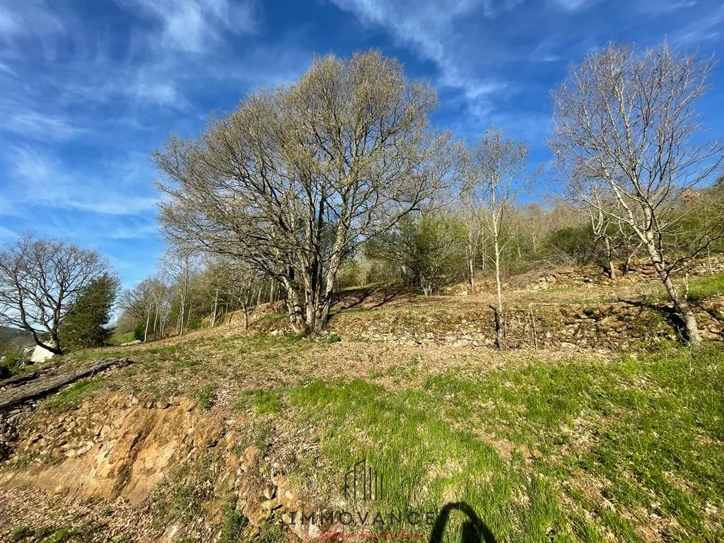 Terrains à bâtir à Saint Beauzely - 10804m2 