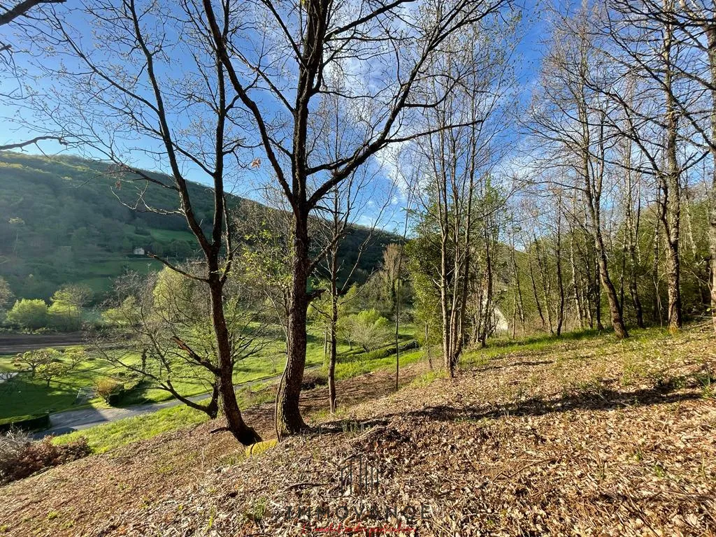 Terrains à bâtir à Saint Beauzely - 10804m2 