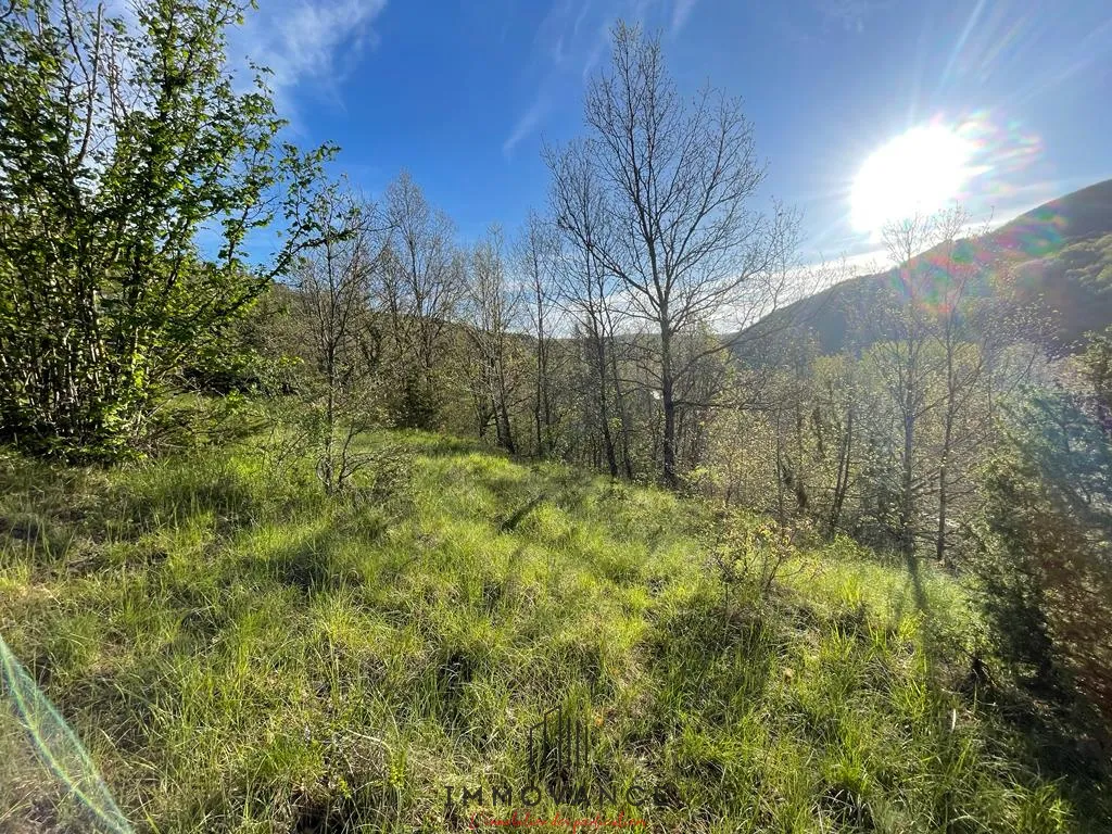 Terrains à bâtir à Saint Beauzely - 10804m2 