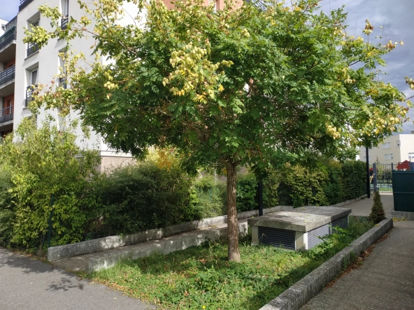 Appartement 3 pièces avec jardin