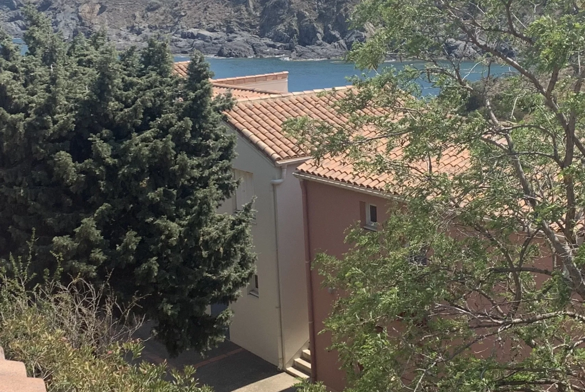 Appartement à vendre à Cerbere avec vue dégagée sur la mer 