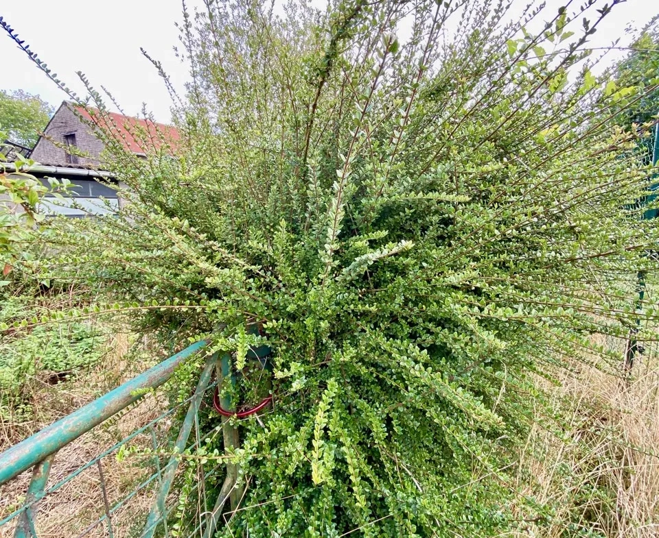 Maison semi-individuelle à Aulnoye aymeries | Beau potentiel 