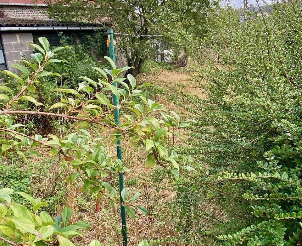 Maison semi-individuelle à Aulnoye aymeries | Beau potentiel 