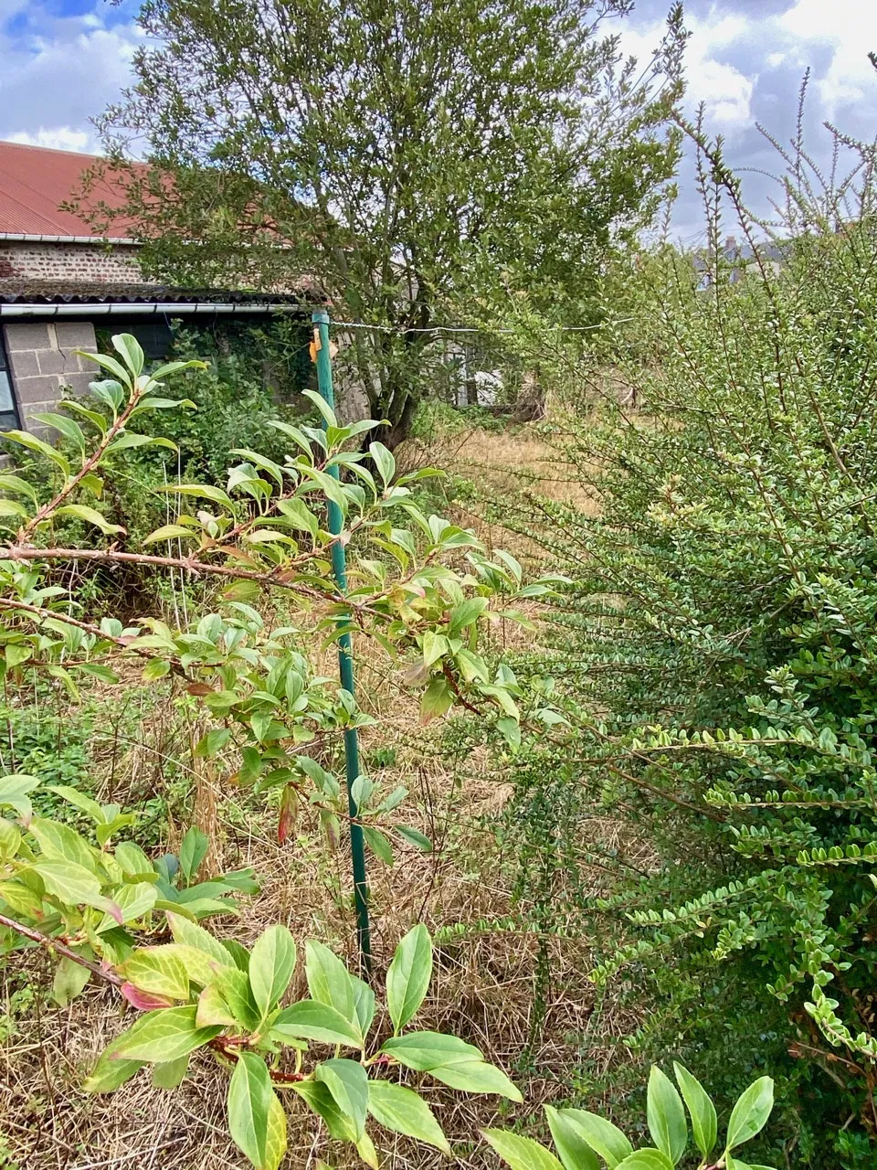 Maison semi-individuelle à Aulnoye aymeries | Beau potentiel 