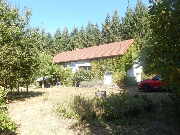 Maison spacieuse à Loddes avec grange attenante sur 4888m2 de terrain