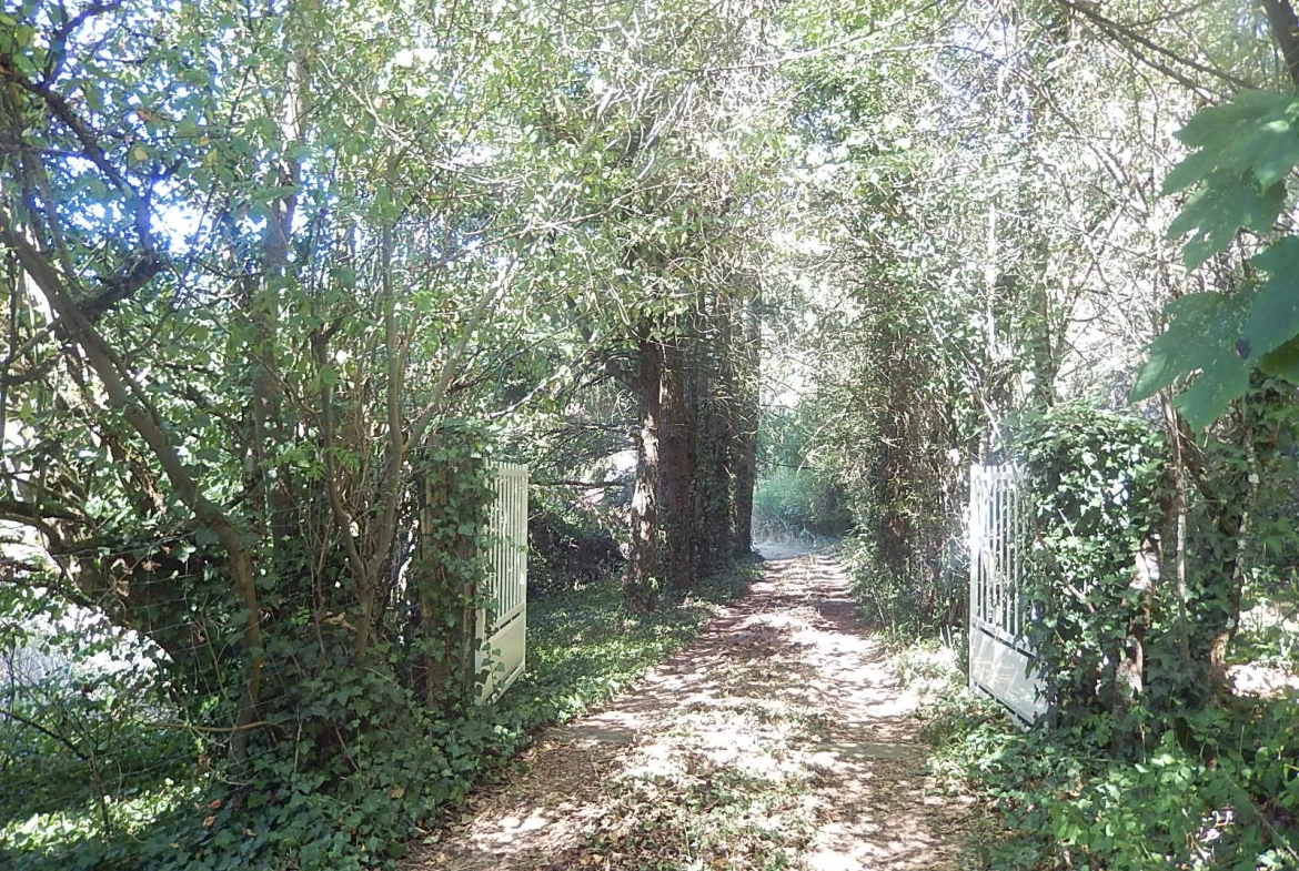 Maison spacieuse à Loddes avec grange attenante sur 4888m2 de terrain 