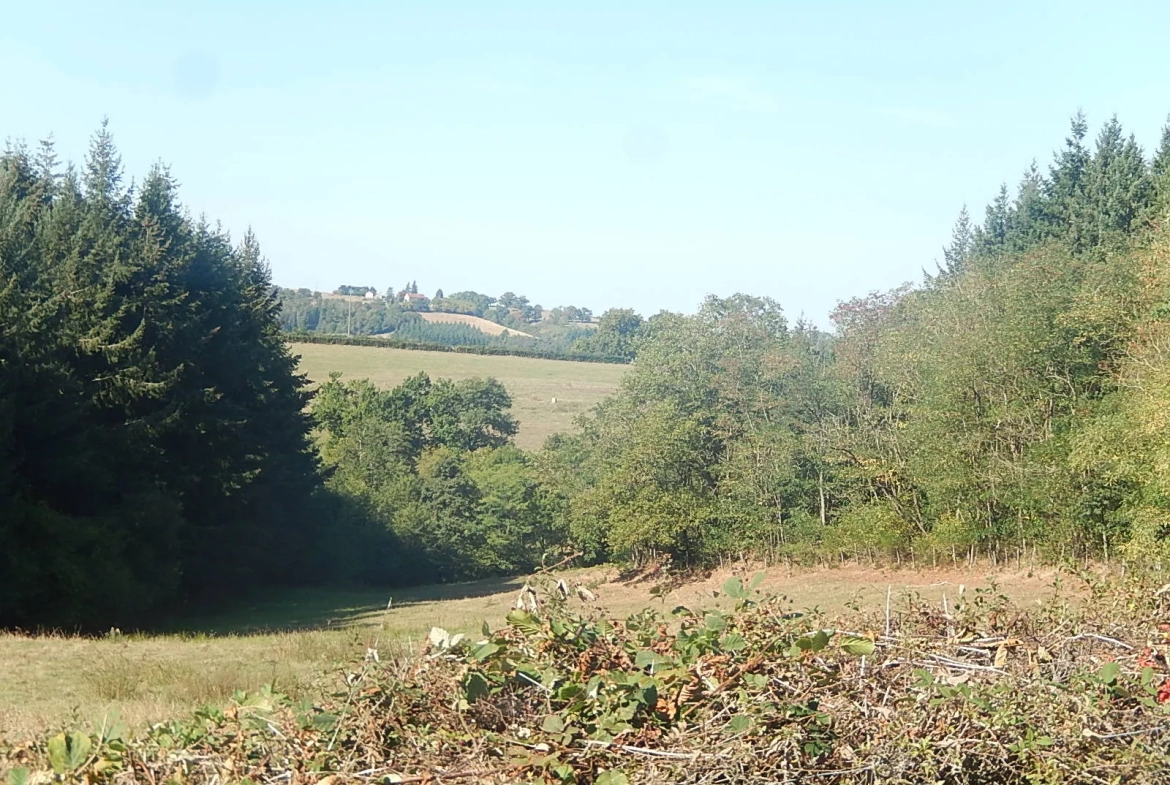 Maison spacieuse à Loddes avec grange attenante sur 4888m2 de terrain 