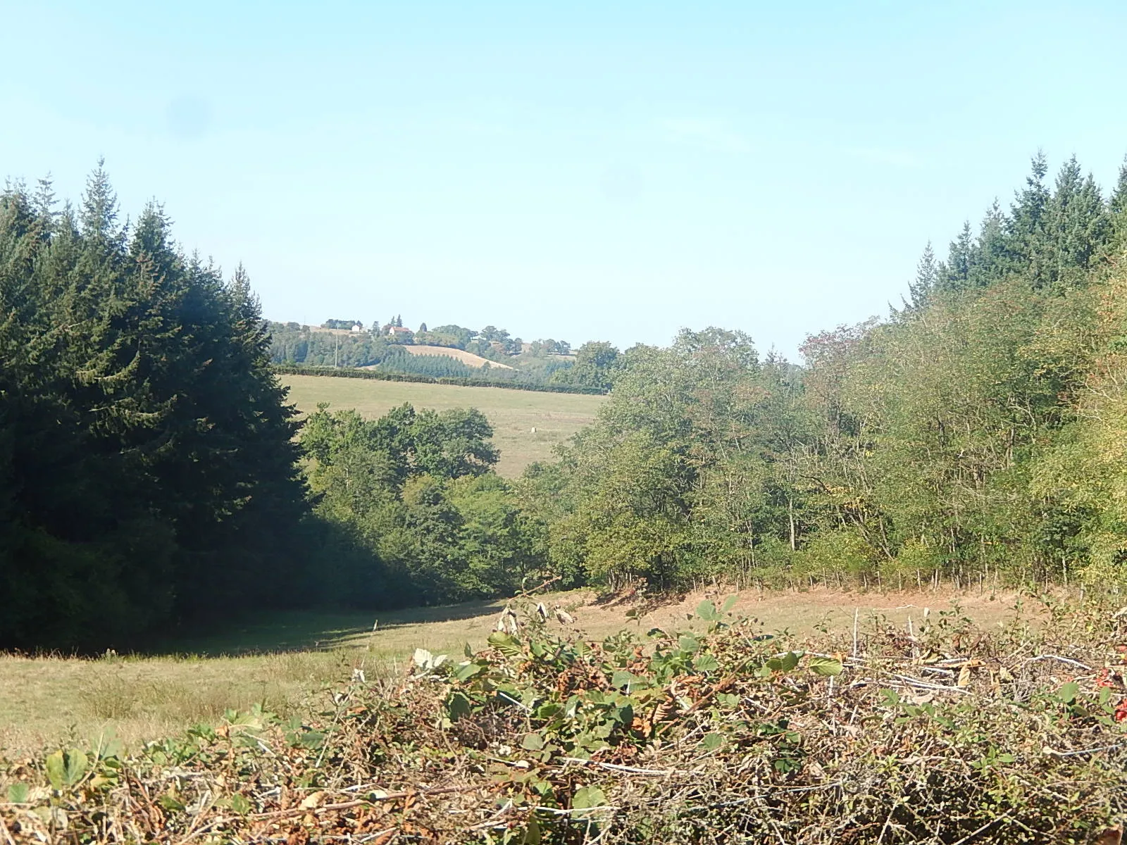 Maison spacieuse à Loddes avec grange attenante sur 4888m2 de terrain 