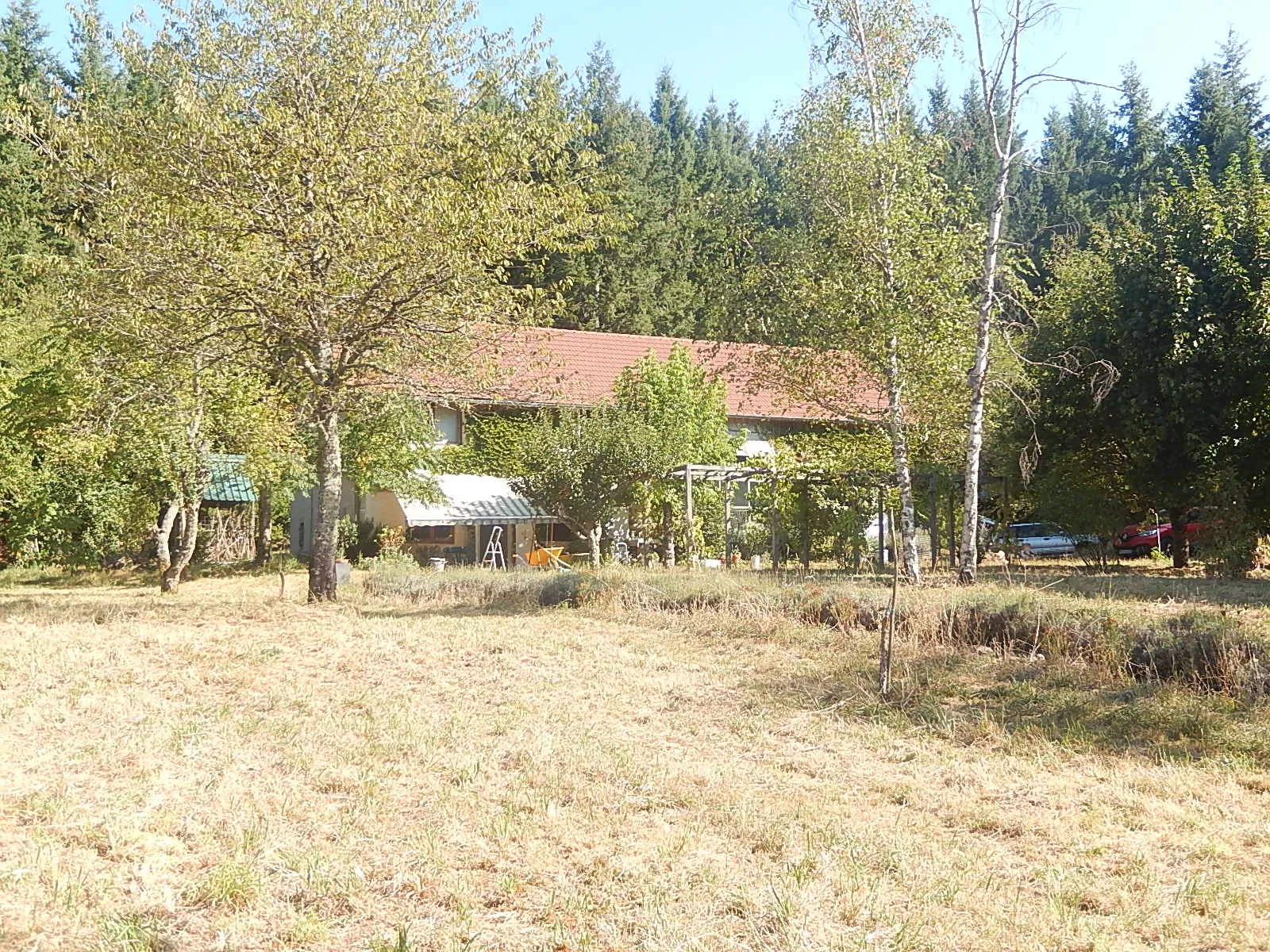 Maison spacieuse à Loddes avec grange attenante sur 4888m2 de terrain 