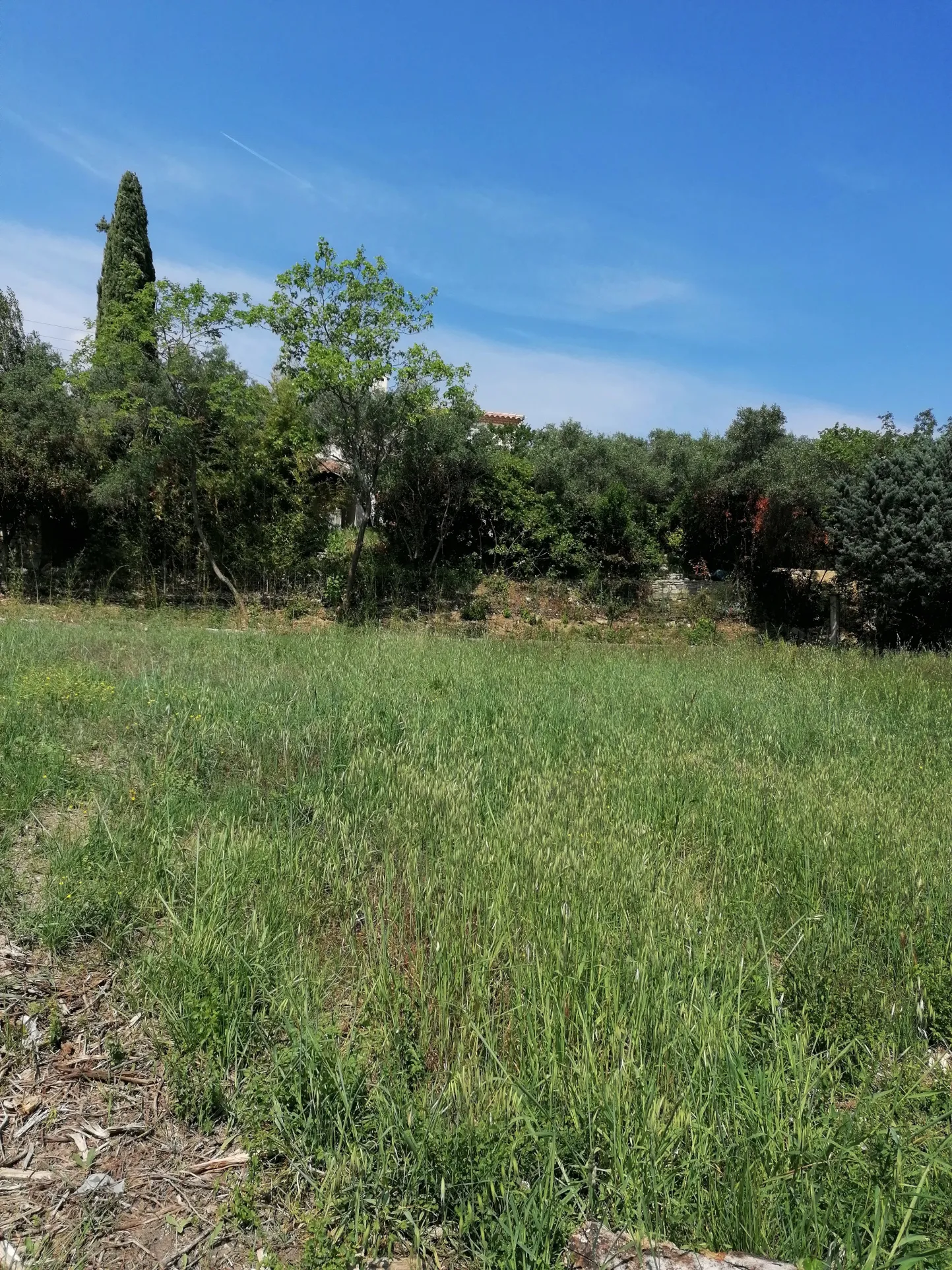 Vente terrain Sommieres 703m2 