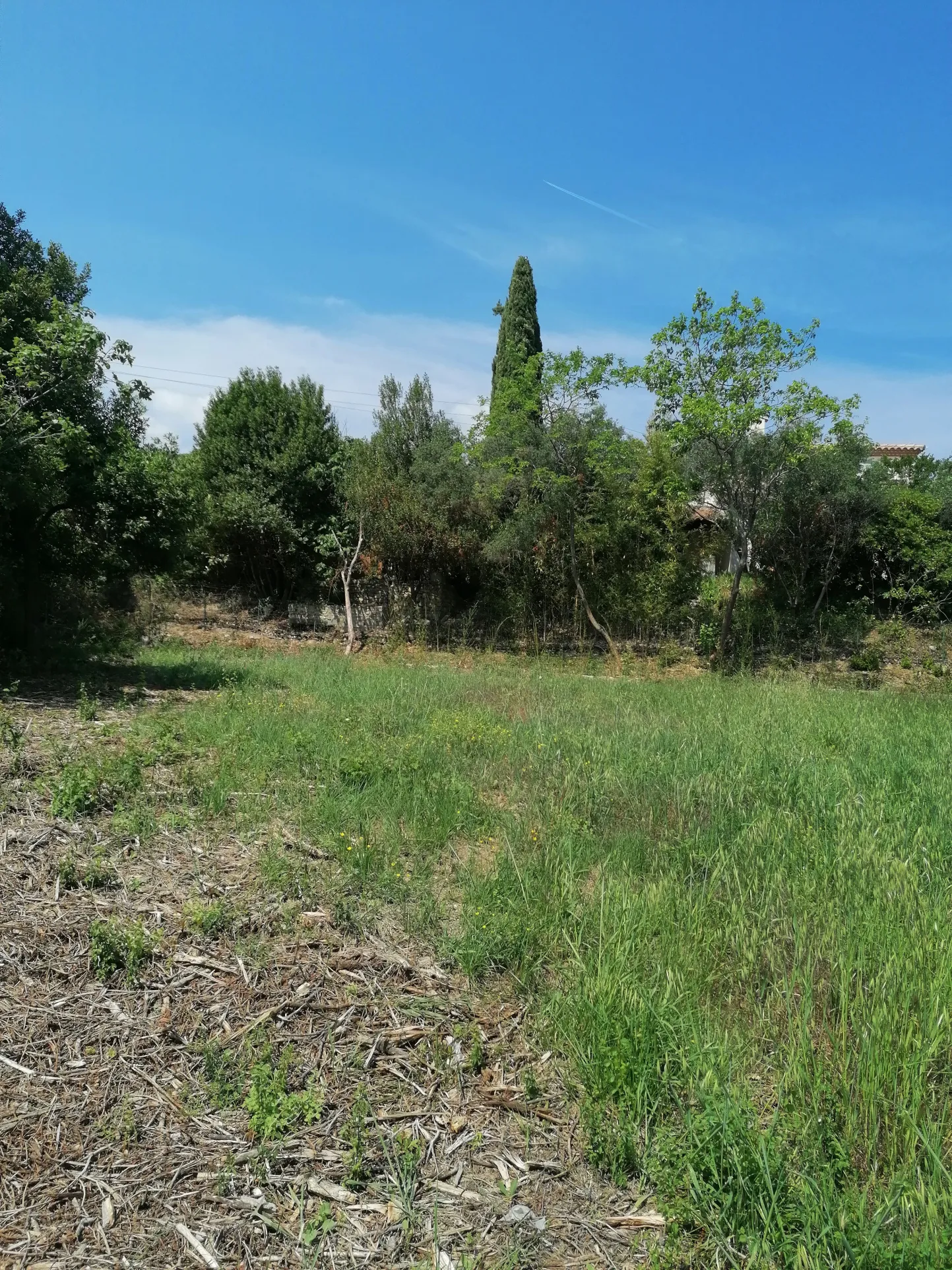 Vente terrain Sommieres 703m2 