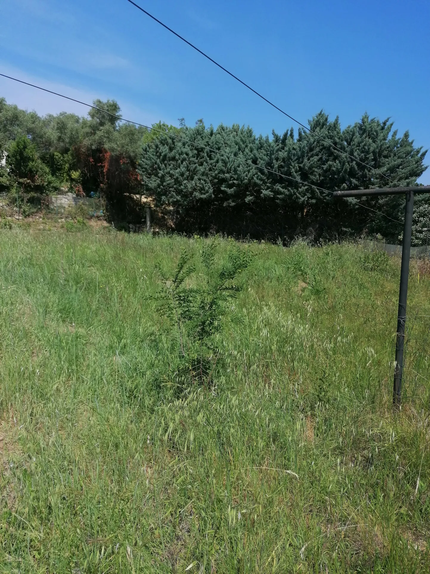 Vente terrain Sommieres 703m2 