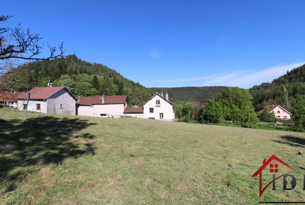 Vosges, Terrain constructible de 15,53 ares 