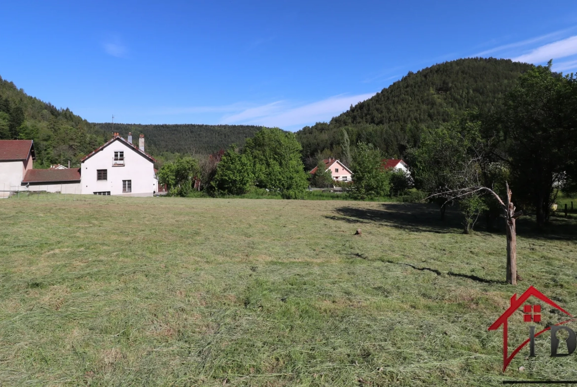 Vosges, Terrain constructible de 15,53 ares 