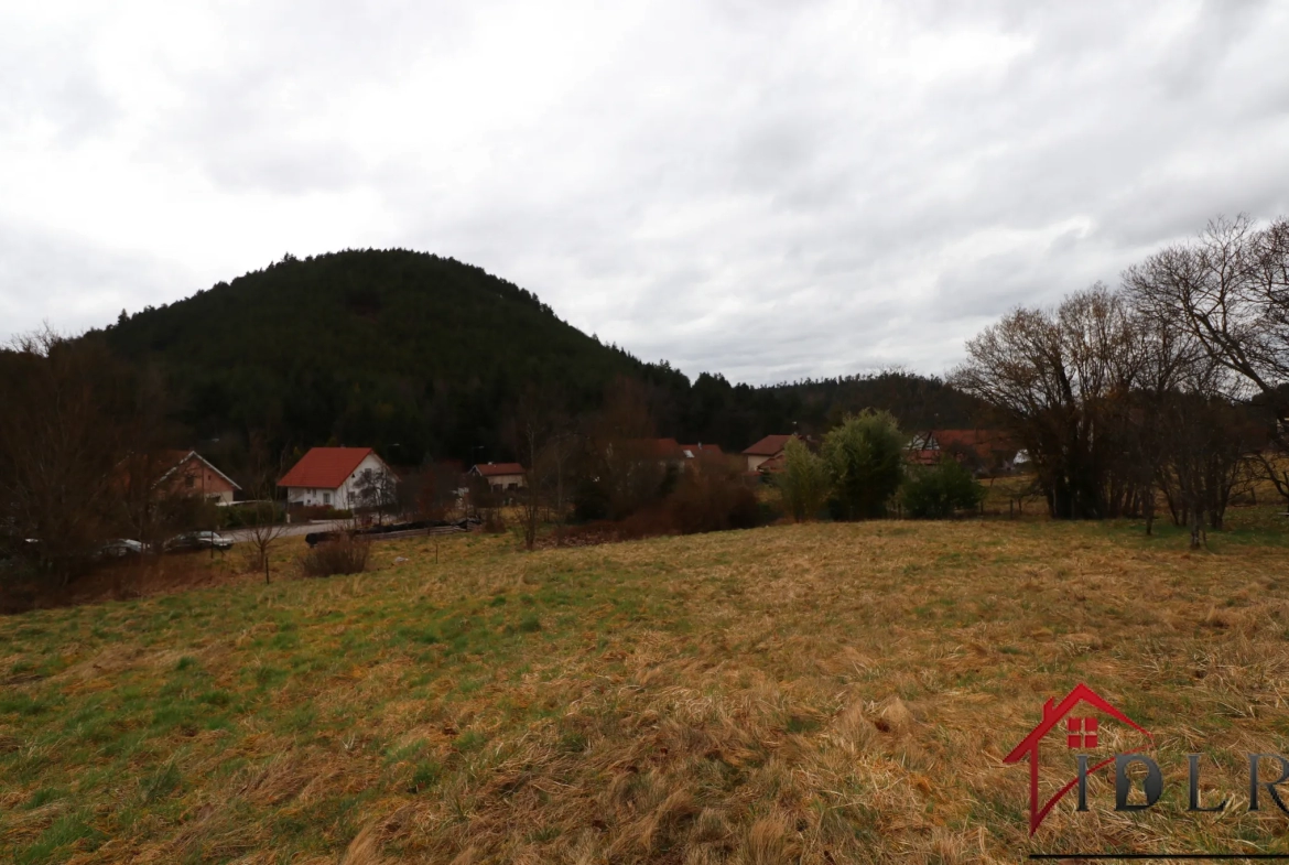 Vosges, Terrain constructible de 15,53 ares 