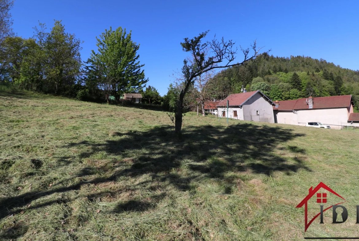 Vosges, Terrain constructible de 15,53 ares 