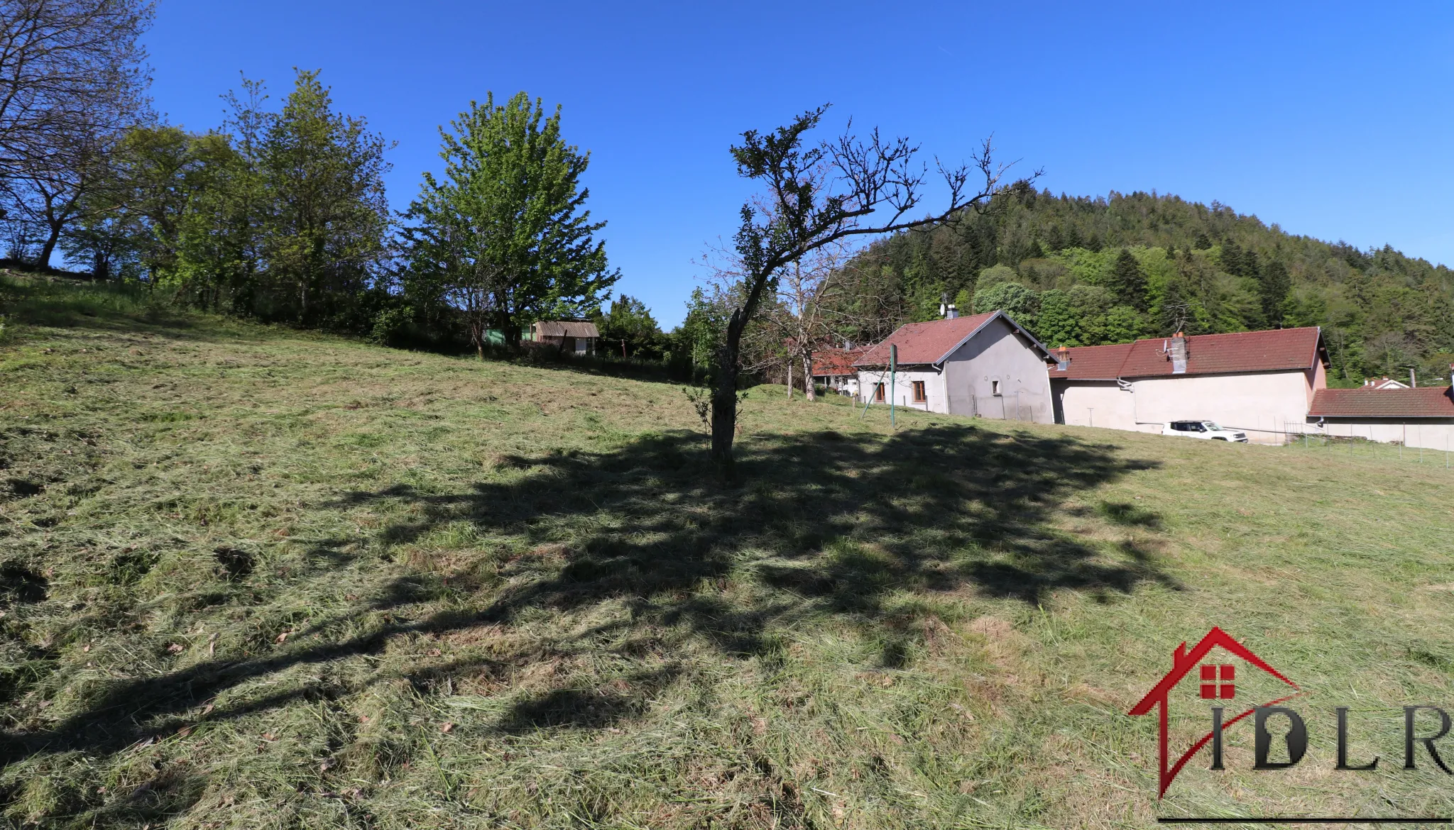 Vosges, Terrain constructible de 15,53 ares 