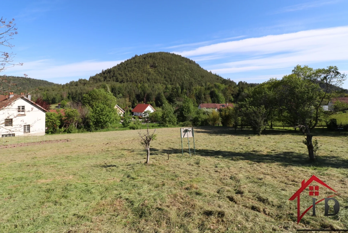 Vosges, Terrain constructible de 15,53 ares 