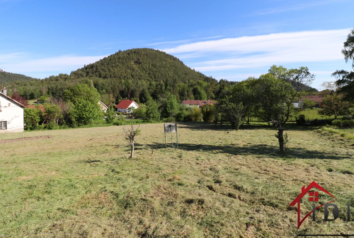 Vosges, Terrain constructible de 15,53 ares 