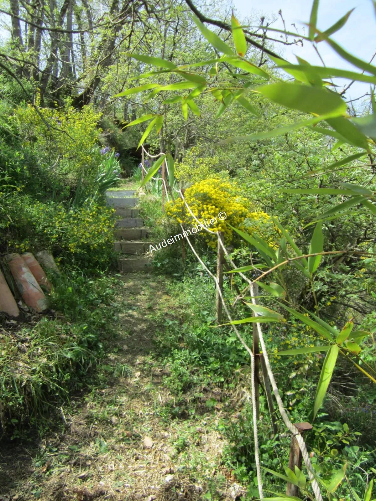 Maison en pierres avec jardin à Limoux 