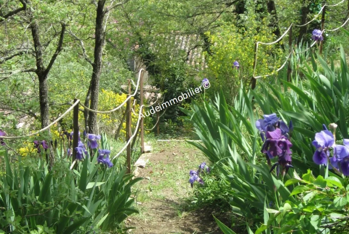 Maison en pierres avec jardin à Limoux 