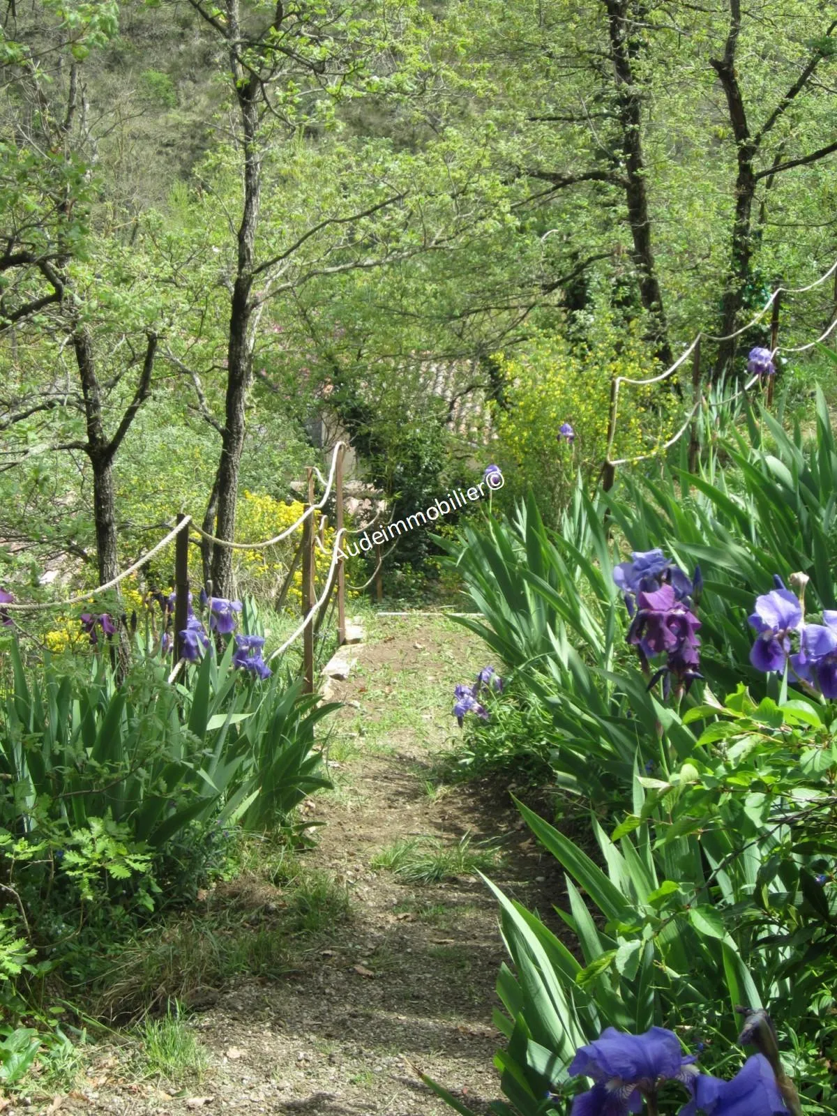 Maison en pierres avec jardin à Limoux 