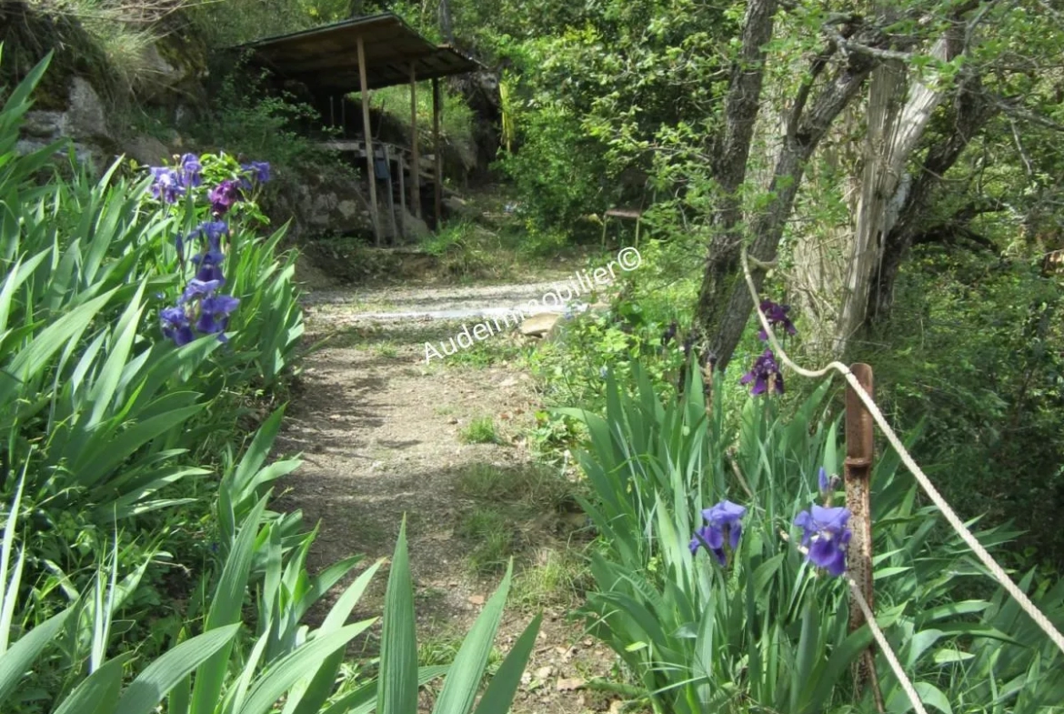 Maison en pierres avec jardin à Limoux 