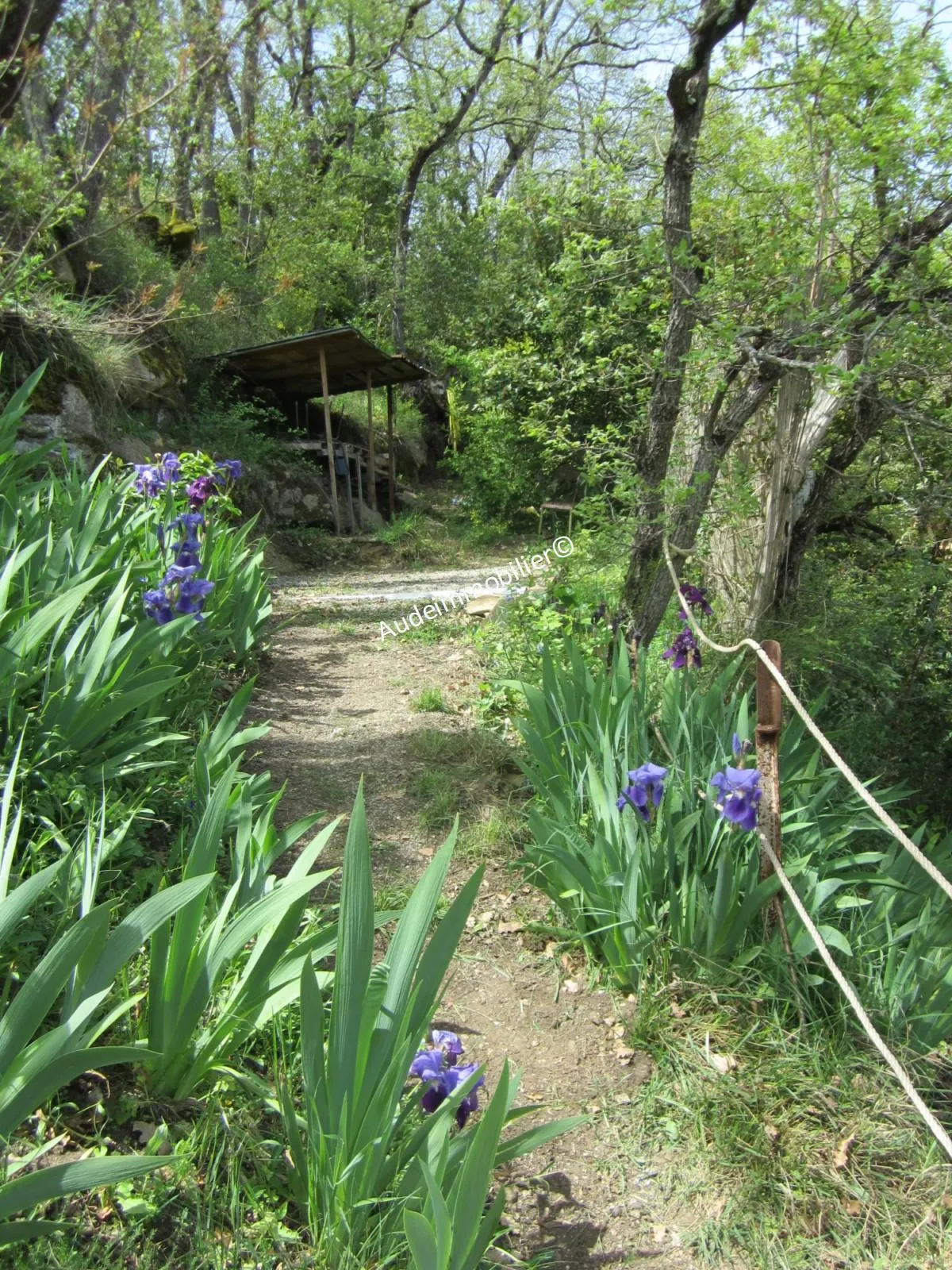 Maison en pierres avec jardin à Limoux 