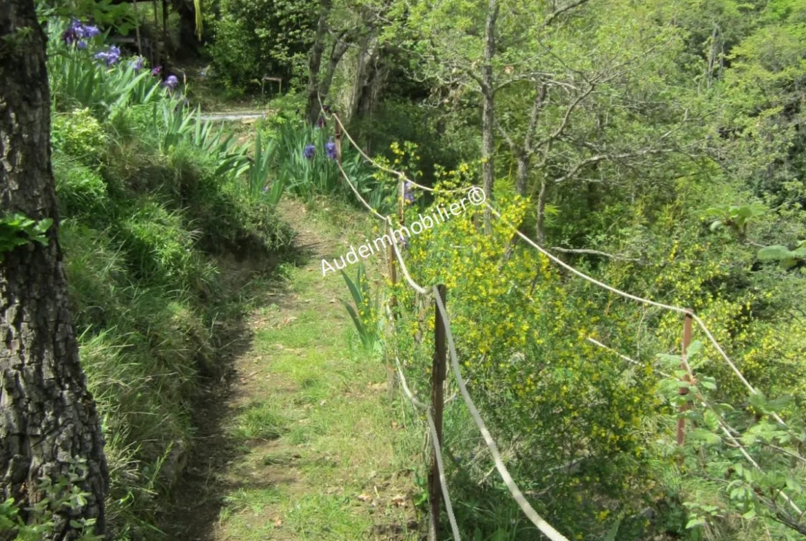 Maison en pierres avec jardin à Limoux 