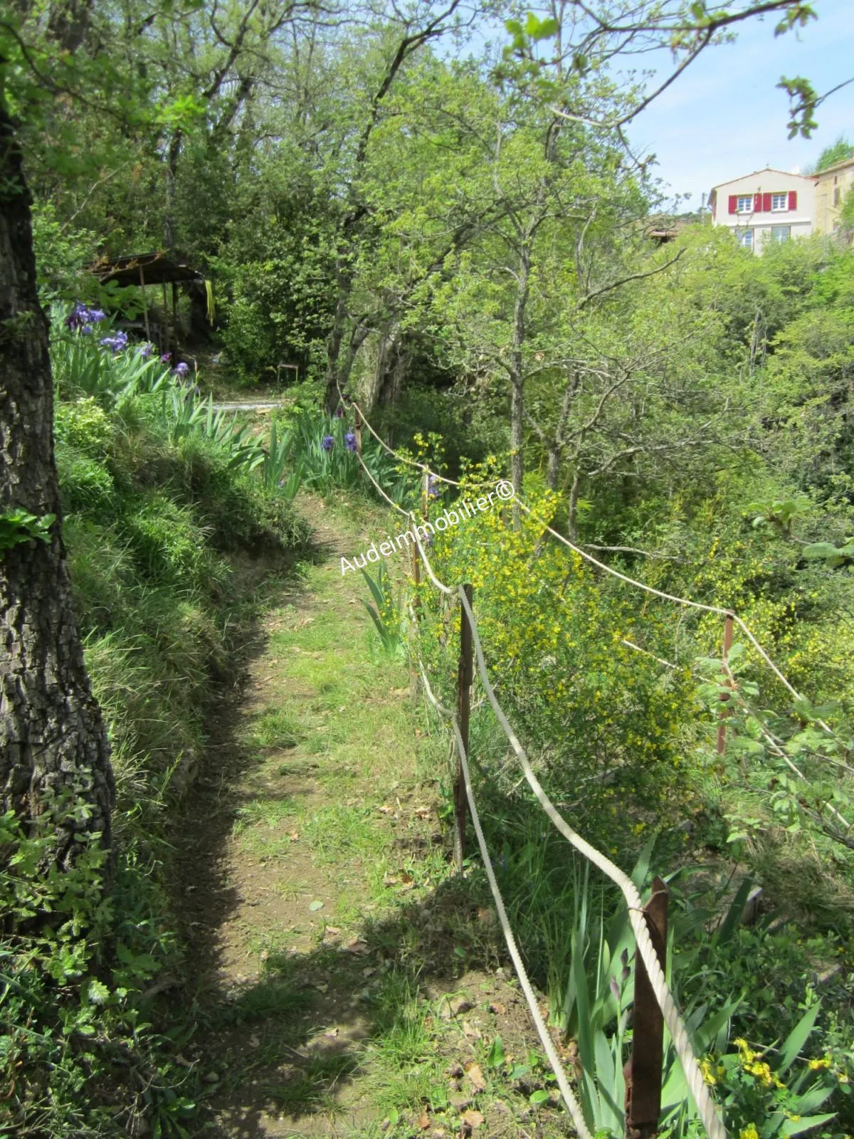 Maison en pierres avec jardin à Limoux 