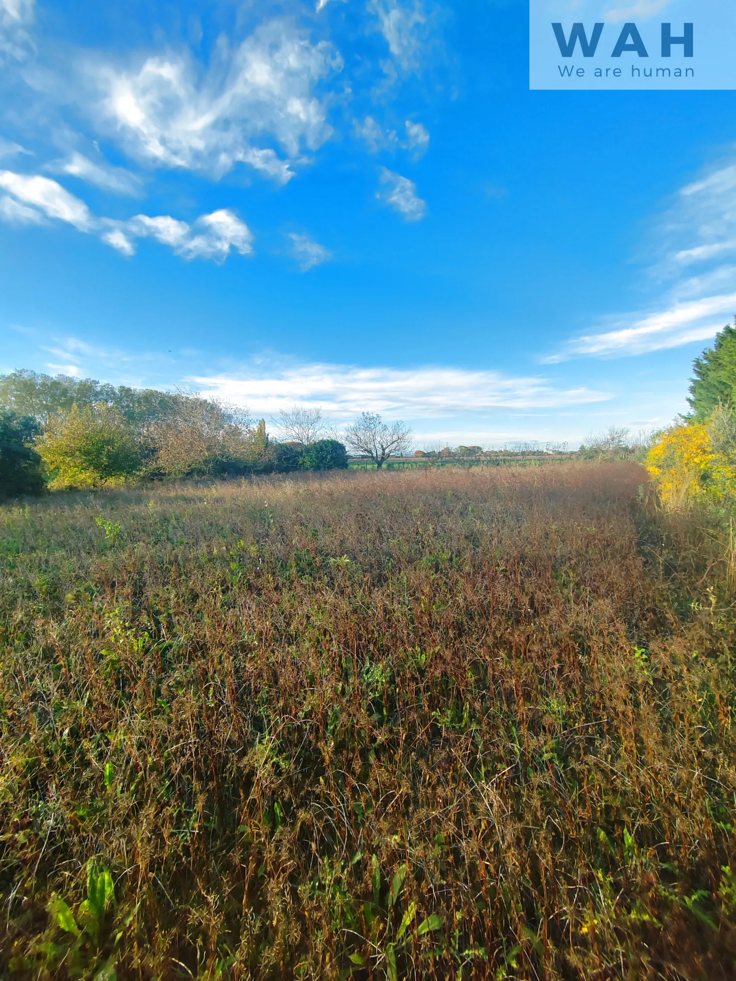 Terrain de loisirs 1925m2 - Aimargues 