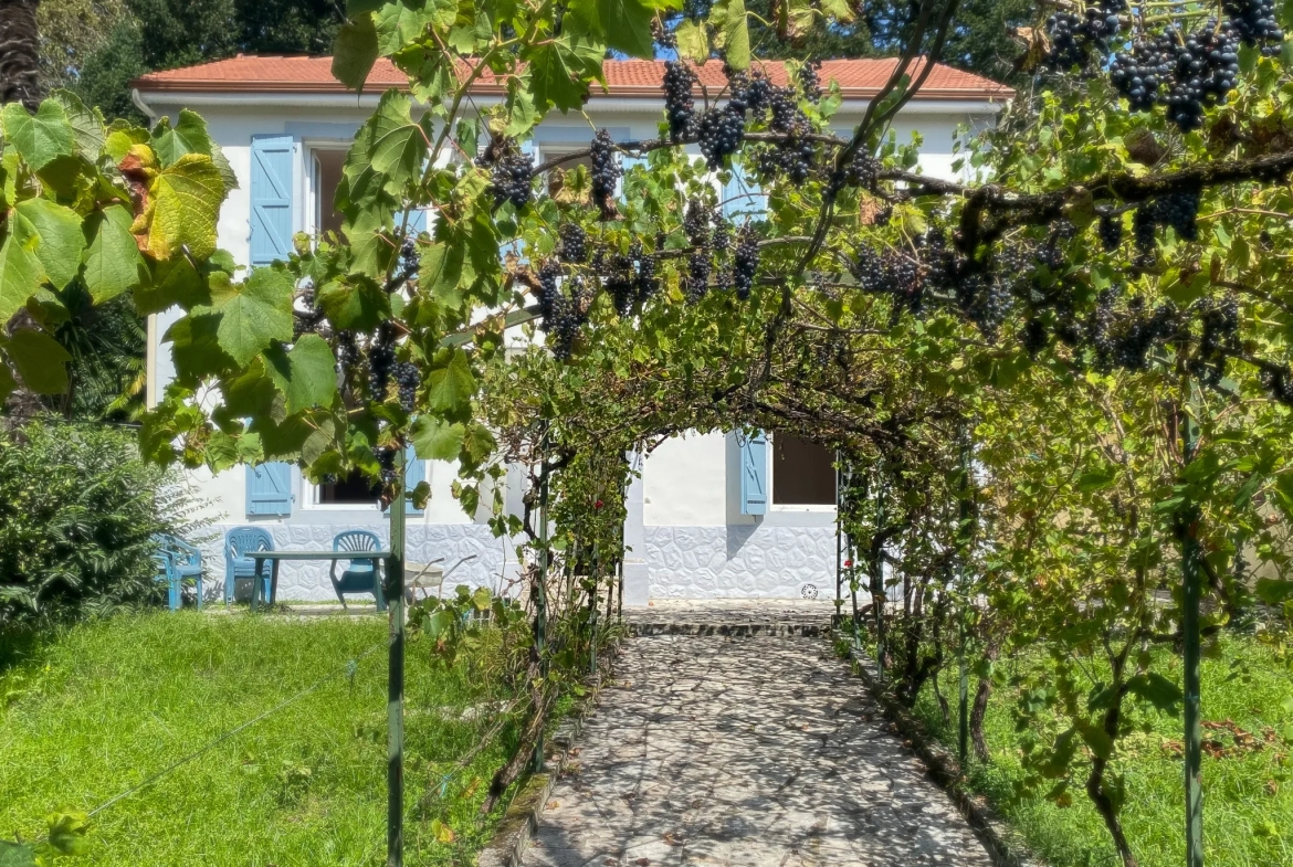 À vendre à Billère, charmante maison ancienne de 176 m2 sur 1000 m2 de terrain 