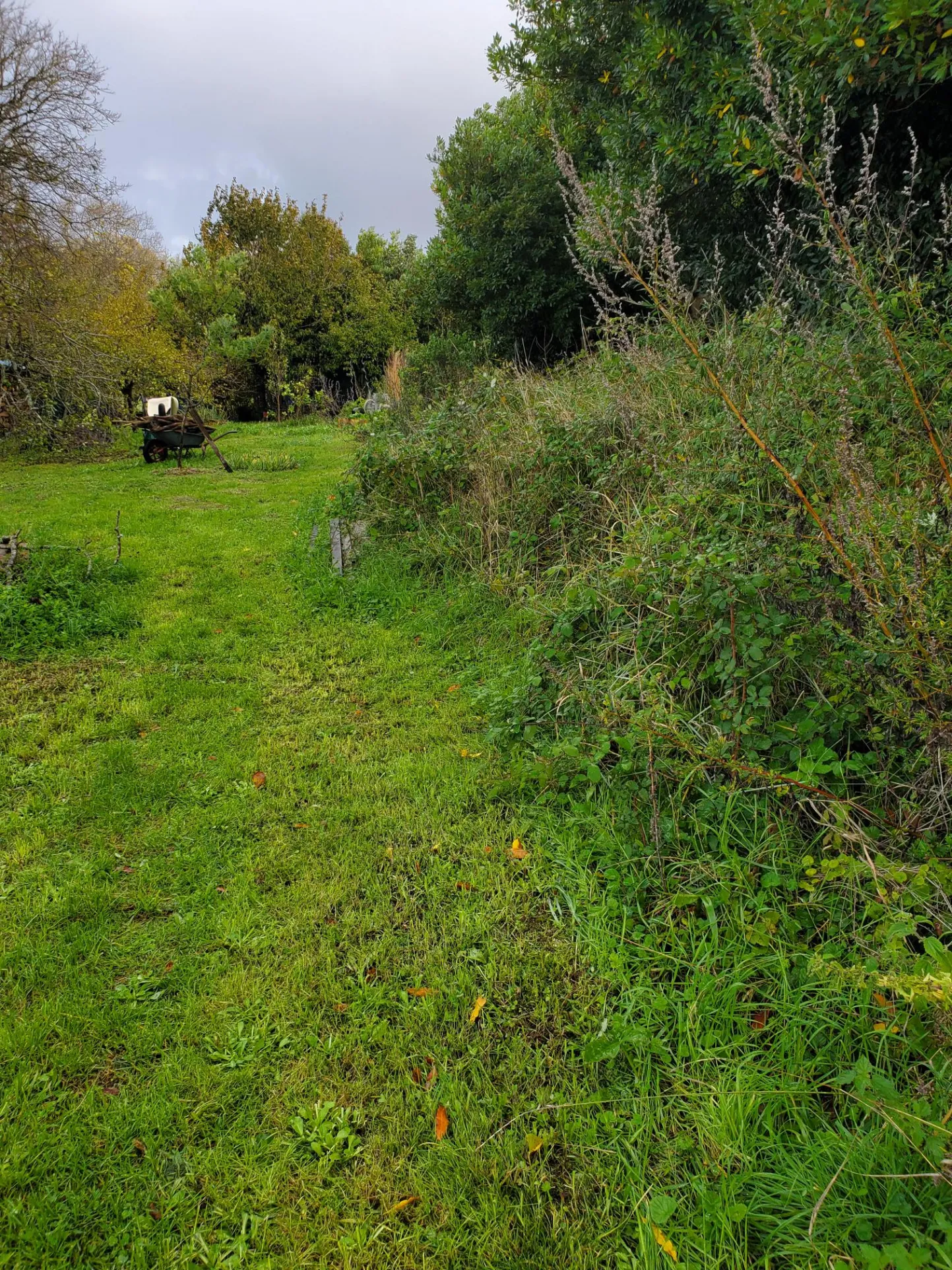 Maison à vendre à Talmont, 3 pièces, 66m2, terrain 700m2 