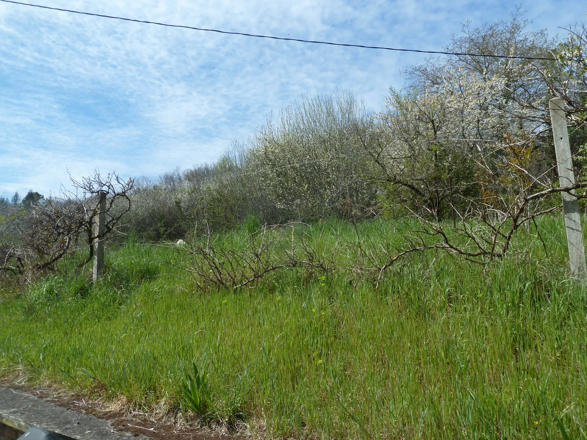 Maison de plain à la campagne 