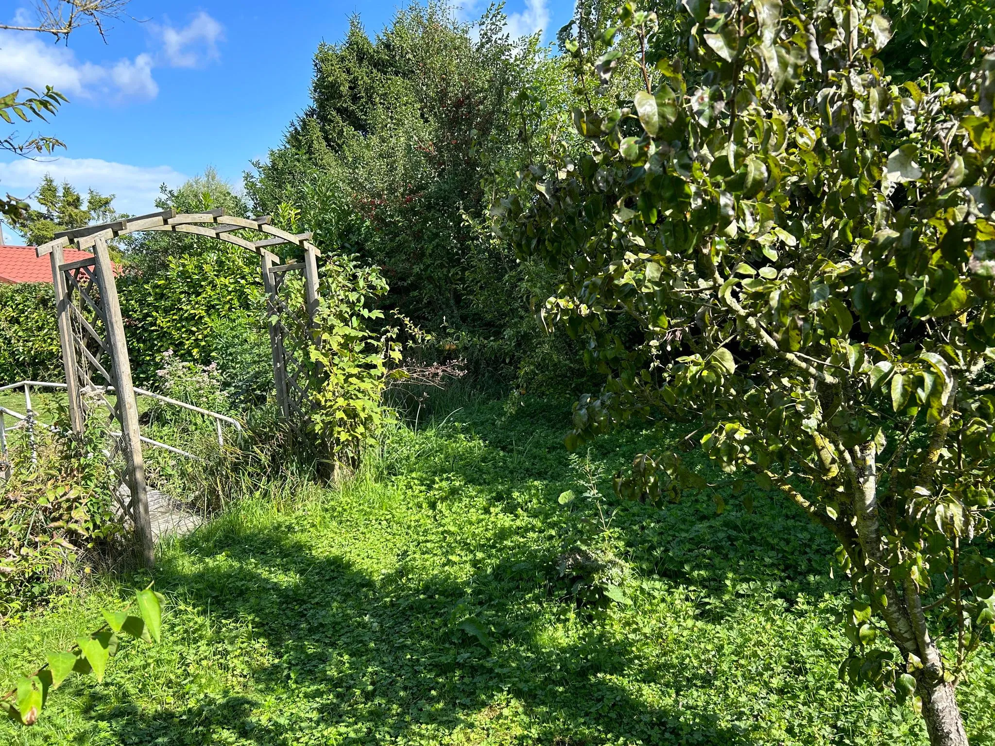 Chalet avec étang à vendre à Longpré-les-corps-saints 