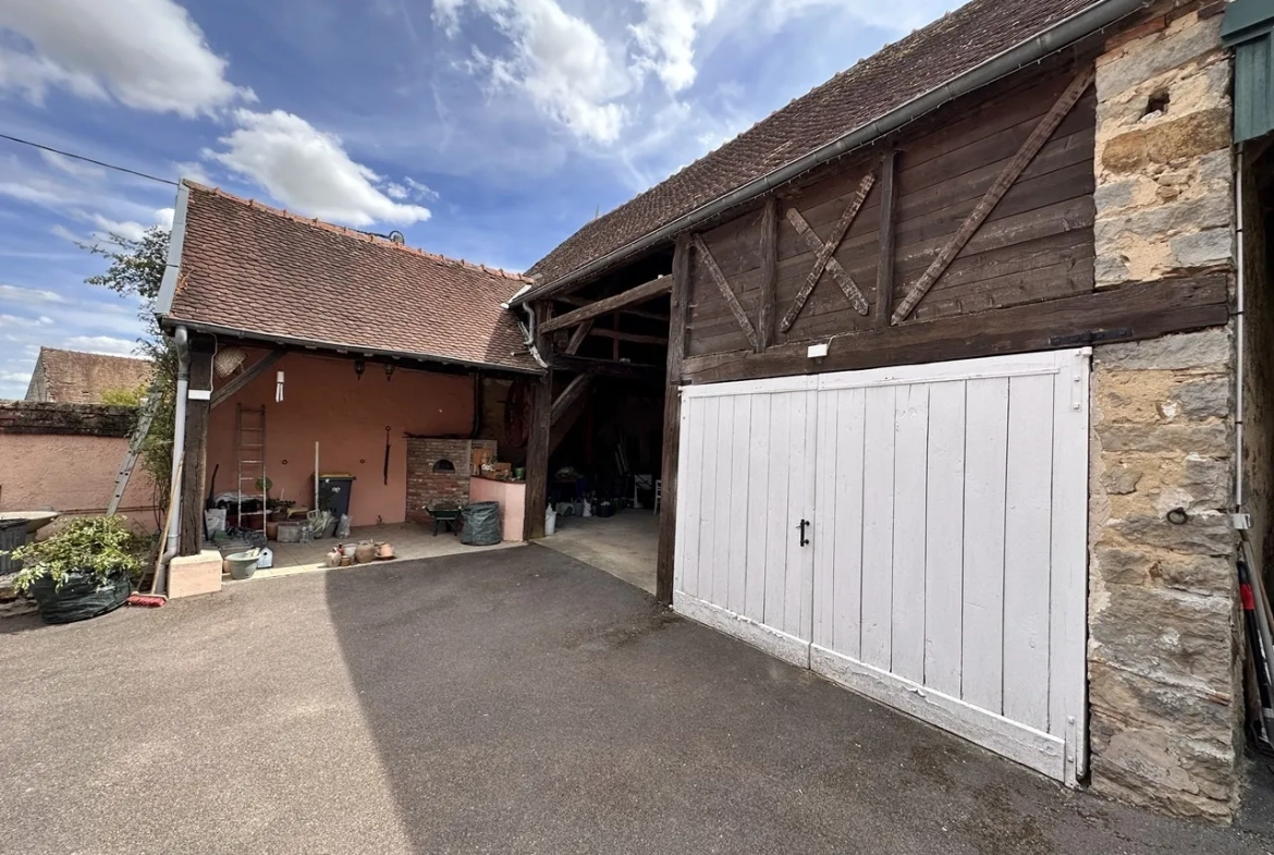 Entre Nogent-sur-Seine et Thorigny-sur-Oreuse - Fermette avec jardin clos et arboré 