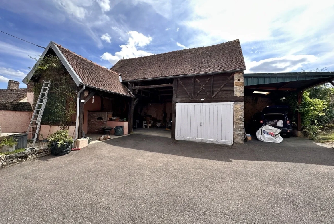 Entre Nogent-sur-Seine et Thorigny-sur-Oreuse - Fermette avec jardin clos et arboré 