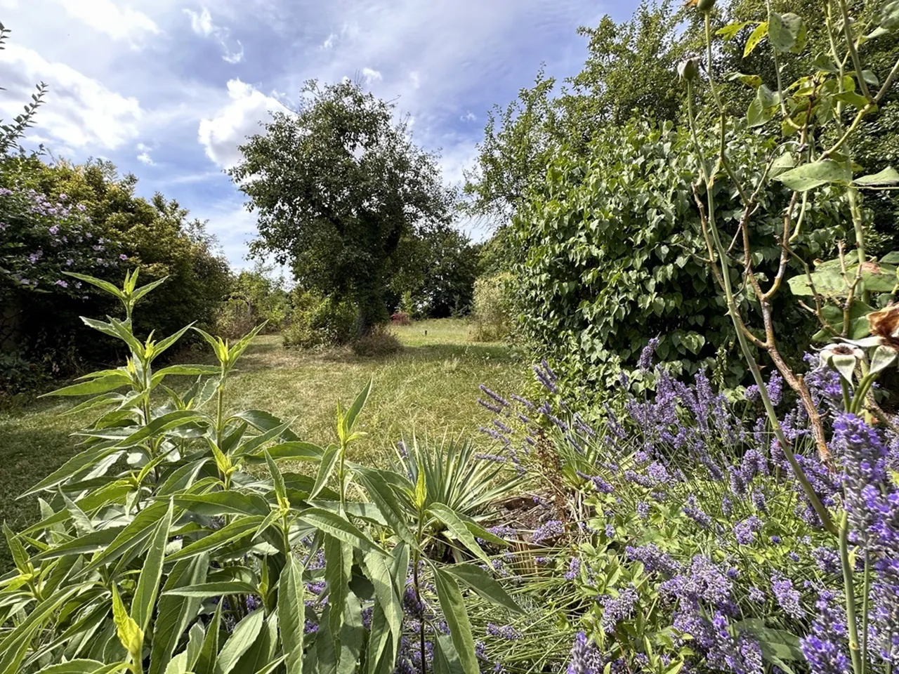 Entre Nogent-sur-Seine et Thorigny-sur-Oreuse - Fermette avec jardin clos et arboré 