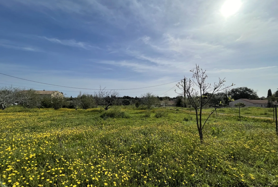 Terrain plat de 1100 m2 à Prunete, Cervione 