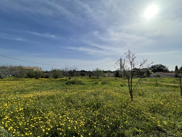 Terrain plat de 1100 m2 à Prunete, Cervione