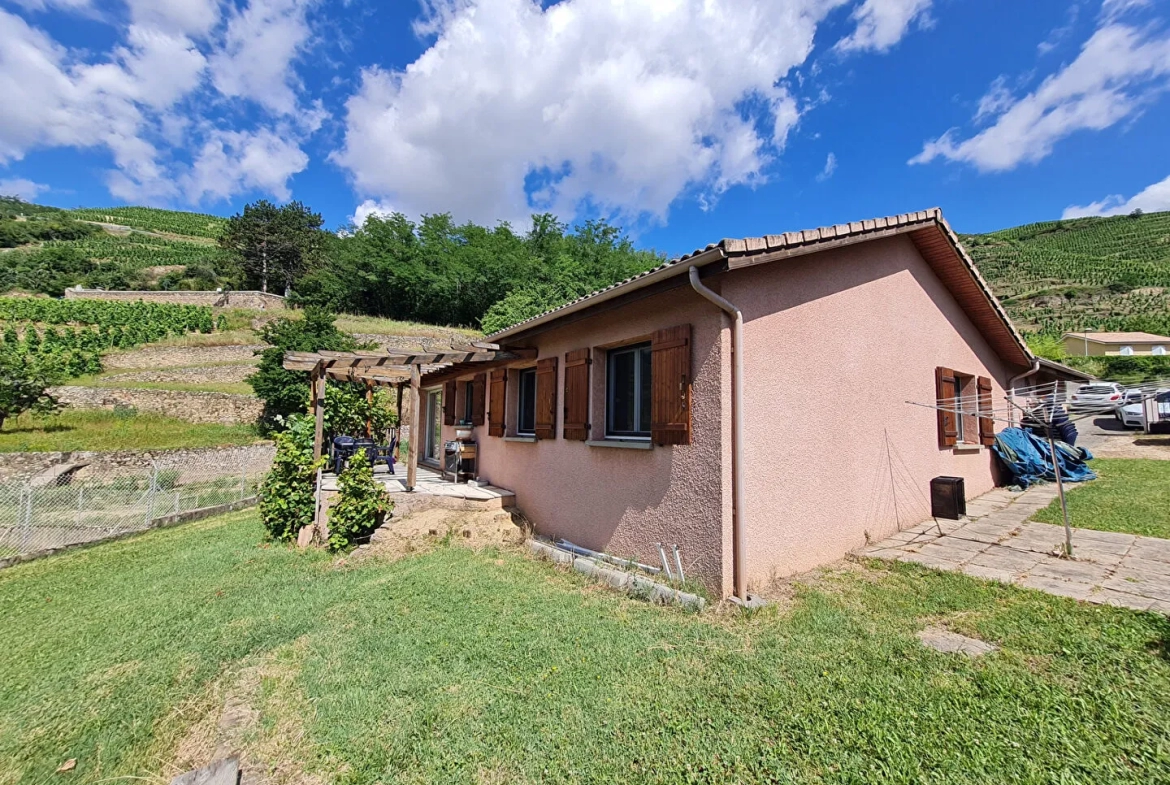 Maison à Tupin-et-Semons avec Vue sur les Côteaux 