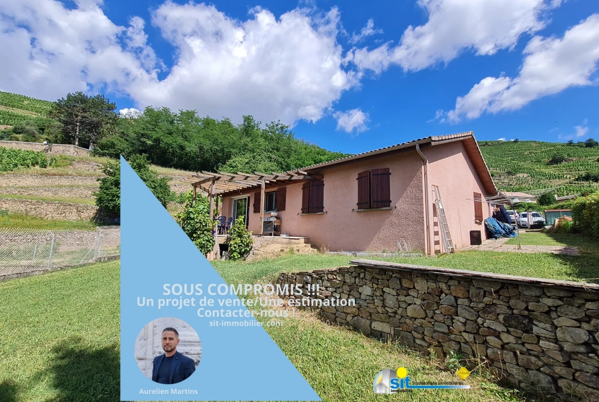 Maison à Tupin-et-Semons avec Vue sur les Côteaux 