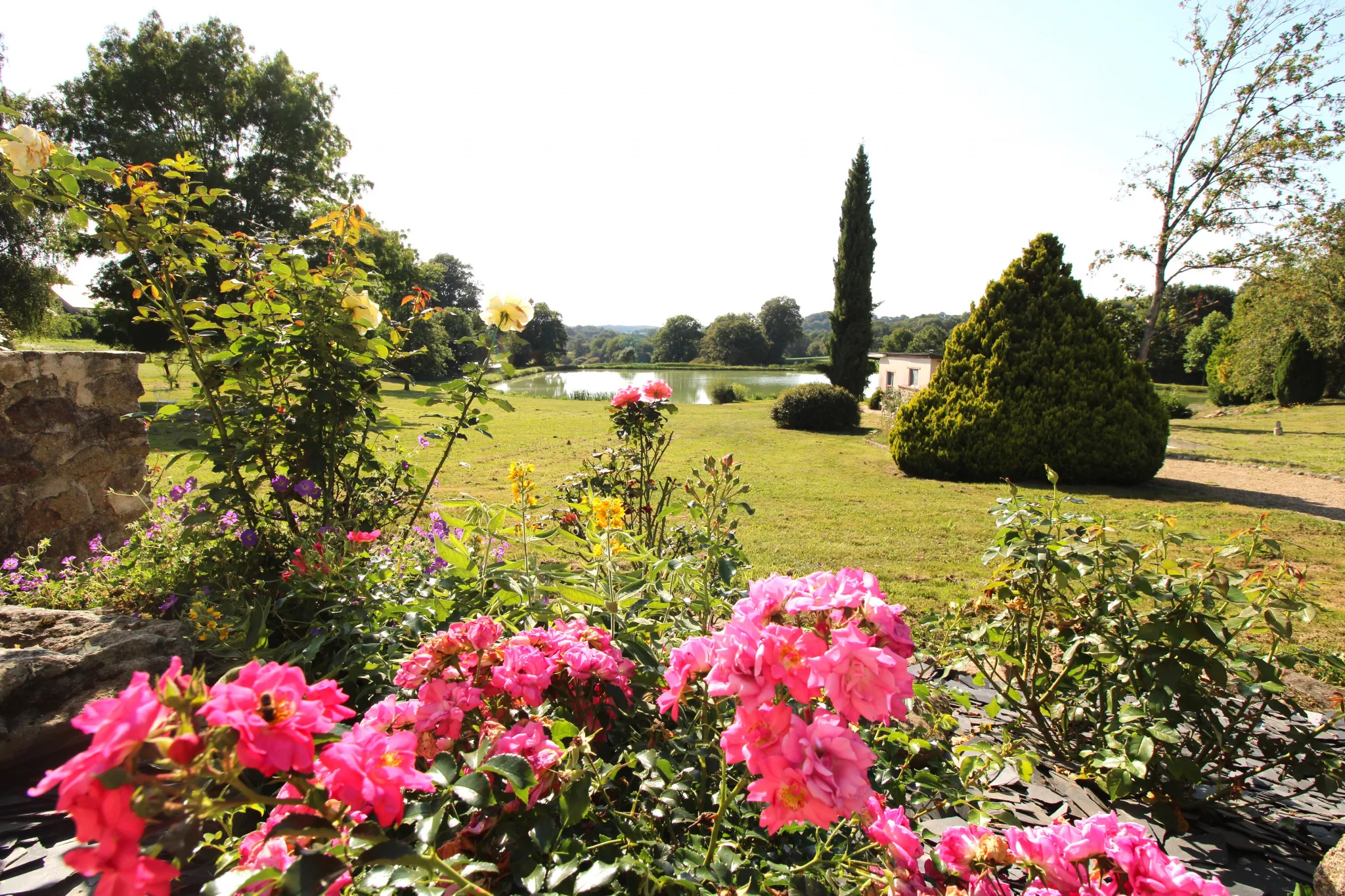 Propriété avec Parc et Maison de Caractère à SAINT-MARTIN-DE-CONNEE 