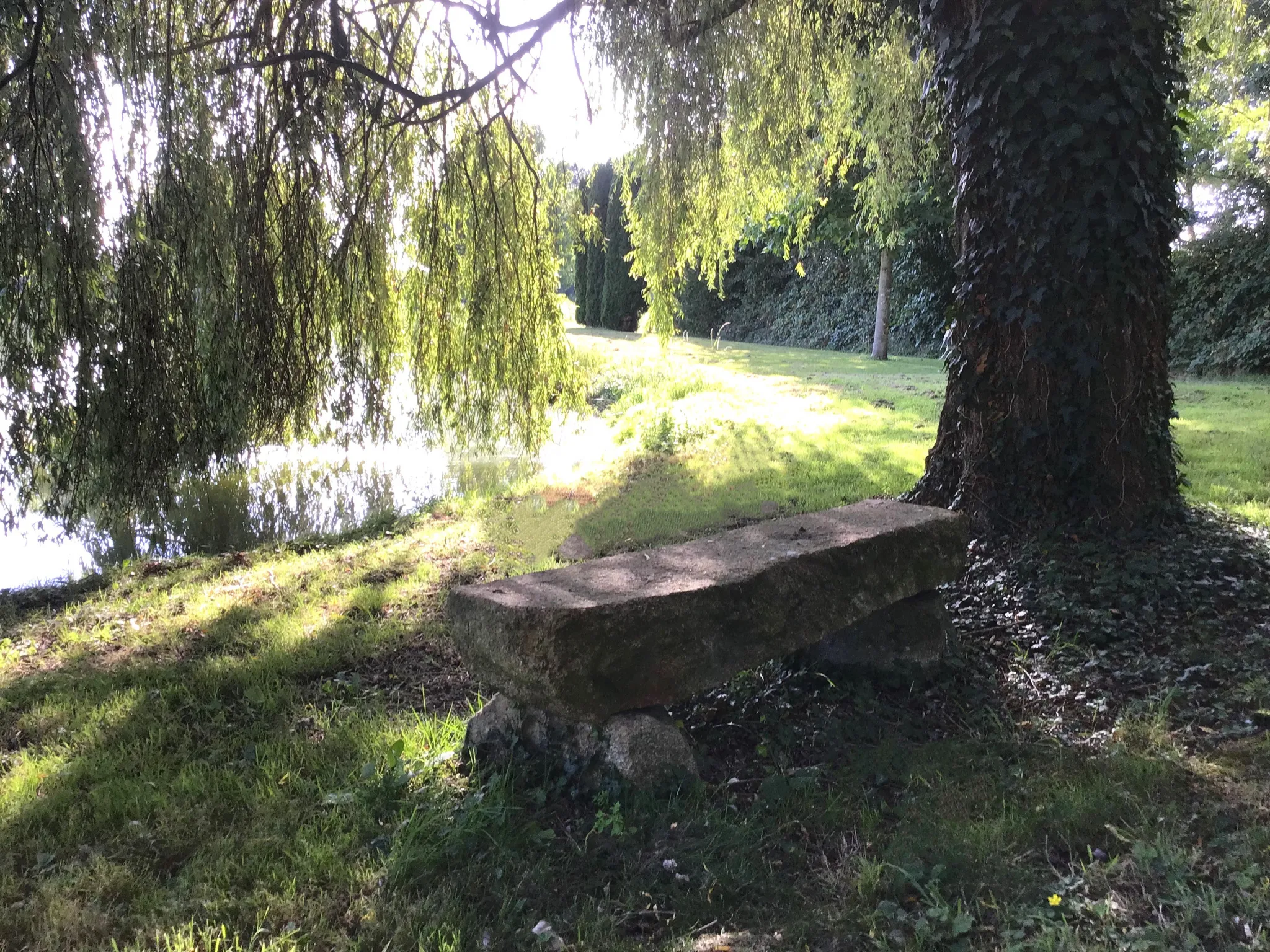 Propriété avec Parc et Maison de Caractère à SAINT-MARTIN-DE-CONNEE 