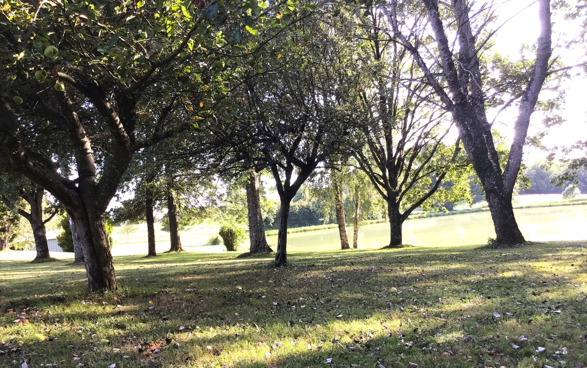 Propriété avec Parc et Maison de Caractère à SAINT-MARTIN-DE-CONNEE 