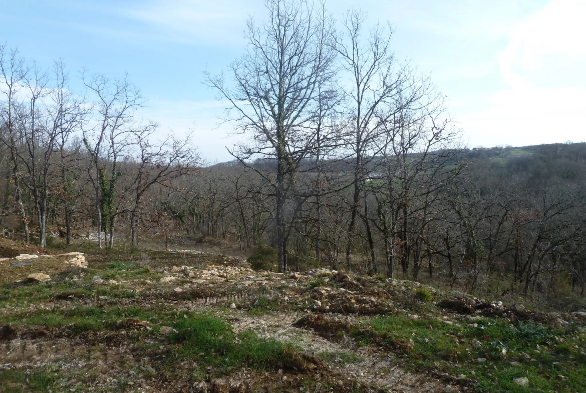 Maison ossature bois à rénover au cœur de la nature 