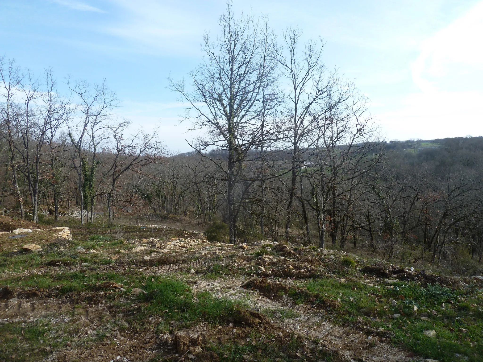 Maison ossature bois à rénover au cœur de la nature 