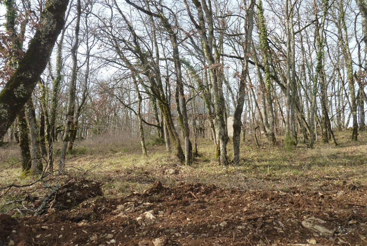 Maison ossature bois à rénover au cœur de la nature 