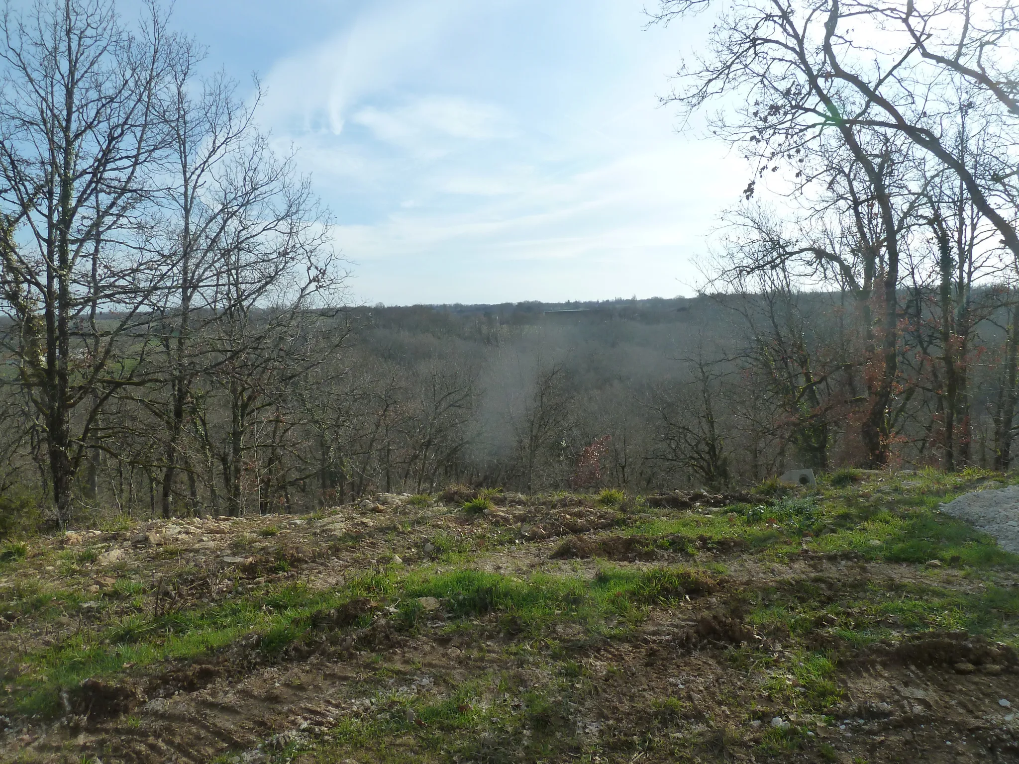 Maison ossature bois à rénover au cœur de la nature 